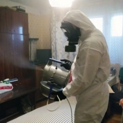 Дезинфекция от клопов в Ясном