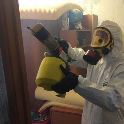 Уничтожение клопов в квартире. Ясный